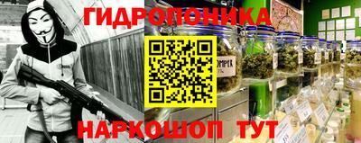 ГАЛЛЮЦИНОГЕННЫЕ ГРИБЫ Тулун