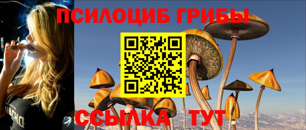Псилоцибиновые грибы GOLDEN TEACHER Надым