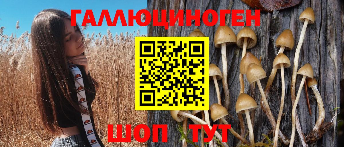Псилоцибиновые грибы MAGIC MUSHROOMS  Вход с VPN  Надым 